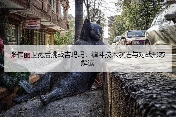 张伟丽卫冕后挑战吉玛玛：缠斗技术演进与对战形态解读